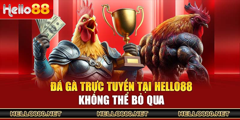 Đá gà trực tuyến tại Hello88 không thể bỏ qua