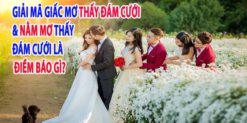 Tổng quan mối liên hệ giữa mơ thấy đám cưới và con số